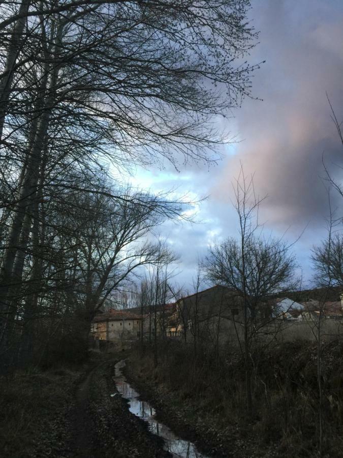 Santibanez del Val El Jardin De Manuelaヴィラ エクステリア 写真