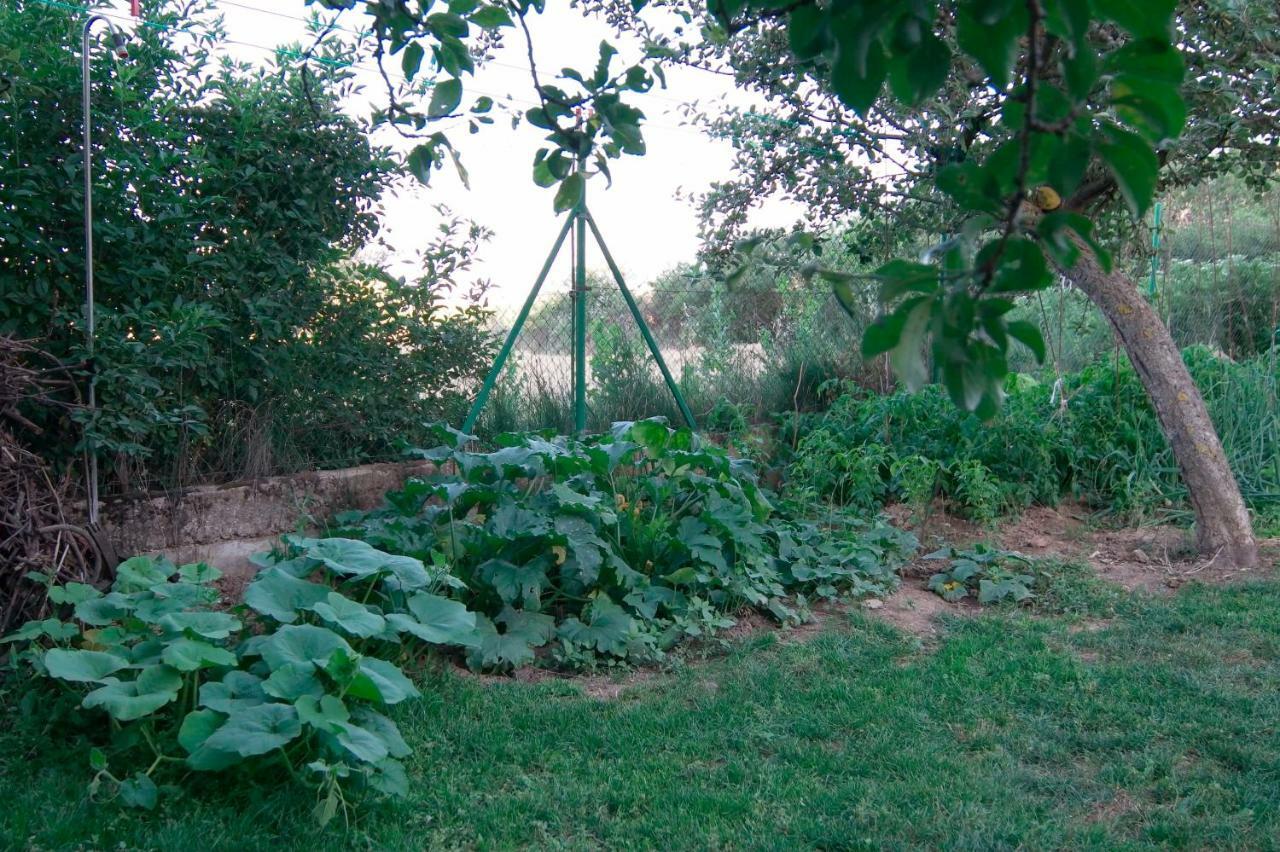 Santibanez del Val El Jardin De Manuelaヴィラ エクステリア 写真