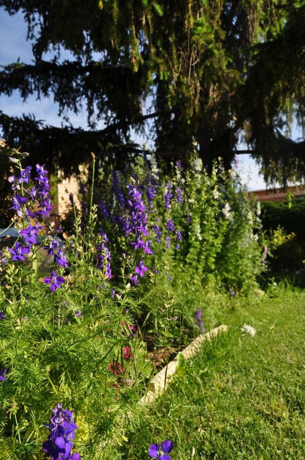 Santibanez del Val El Jardin De Manuelaヴィラ エクステリア 写真